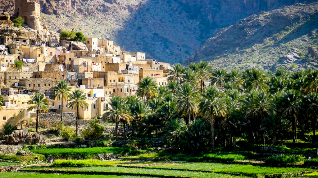 Investment programs in Oman