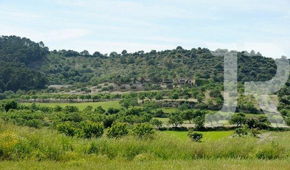 Фото 1 - Land plot in Balearic